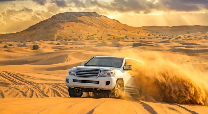 Evening Desert Safari With BBQ Dinner