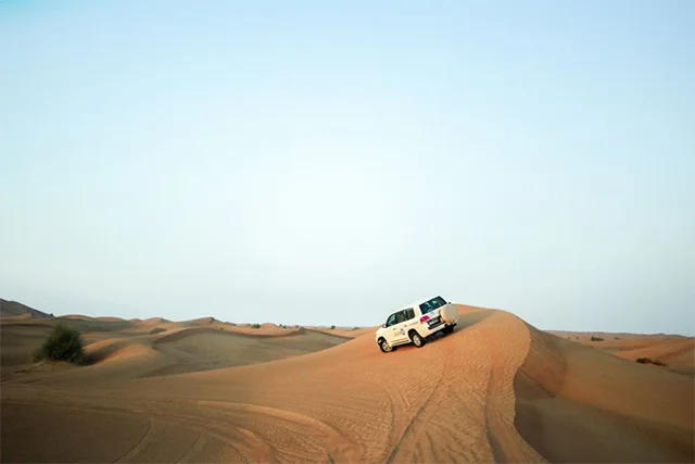 Morning Desert Safari in Dubai