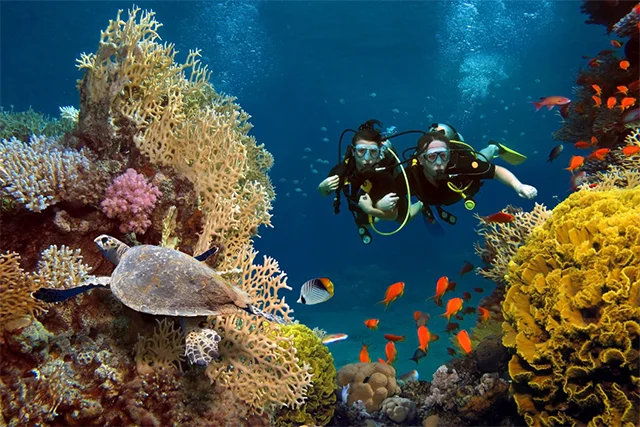 Scuba Diving Tour in Dubai