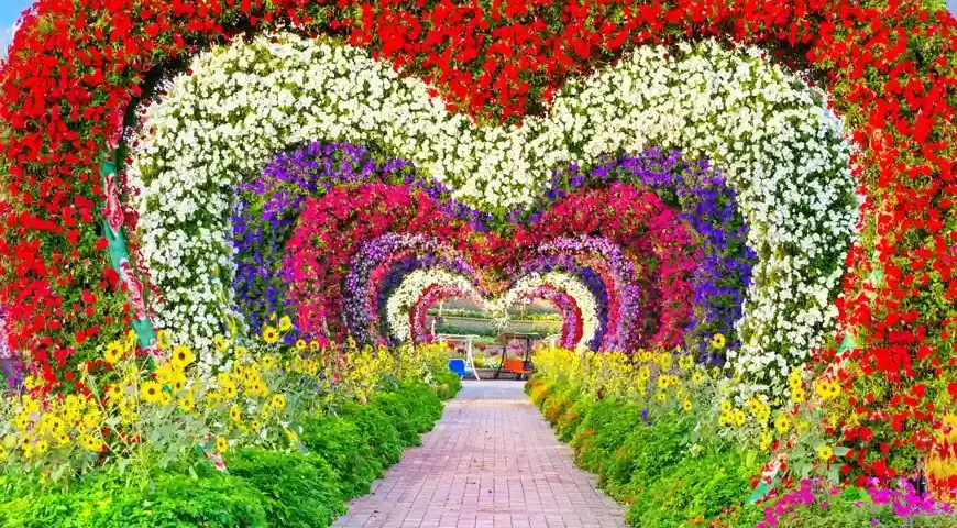 Map of Dubai Miracle Garden for visitor guidance