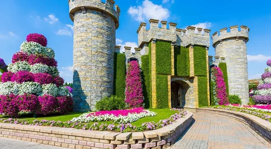 Evening lights illuminating Dubai Miracle Garden