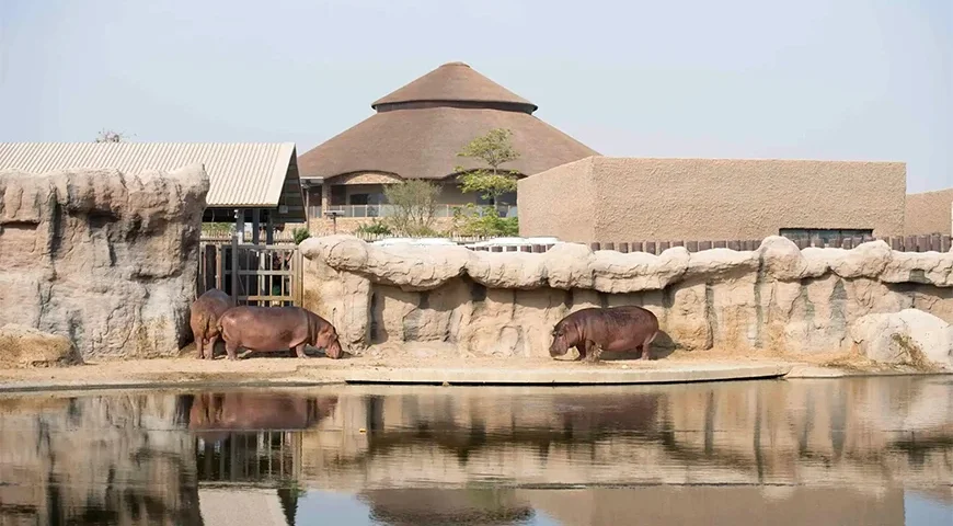 Dubai Safari Park Tickets