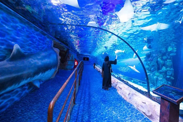 Burj Khalifa and Dubai Aquarium Tickets