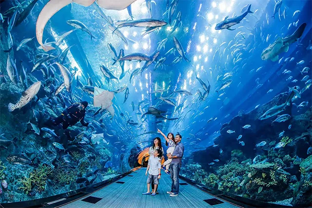 Burj Khalifa and Dubai Aquarium Tickets