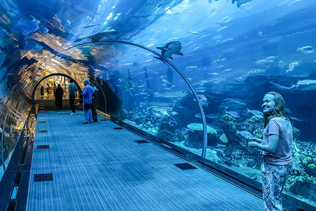 Burj Khalifa and Dubai Aquarium Tickets