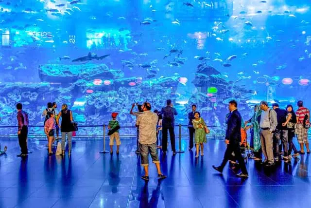 Dubai Aquarium and Penguin Encounter