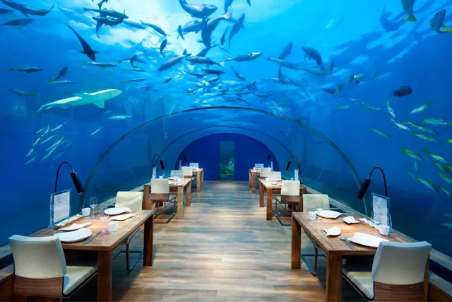 Lunch or dinner at Atlantis 1