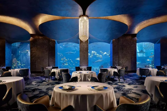 Lunch or dinner at Atlantis 1