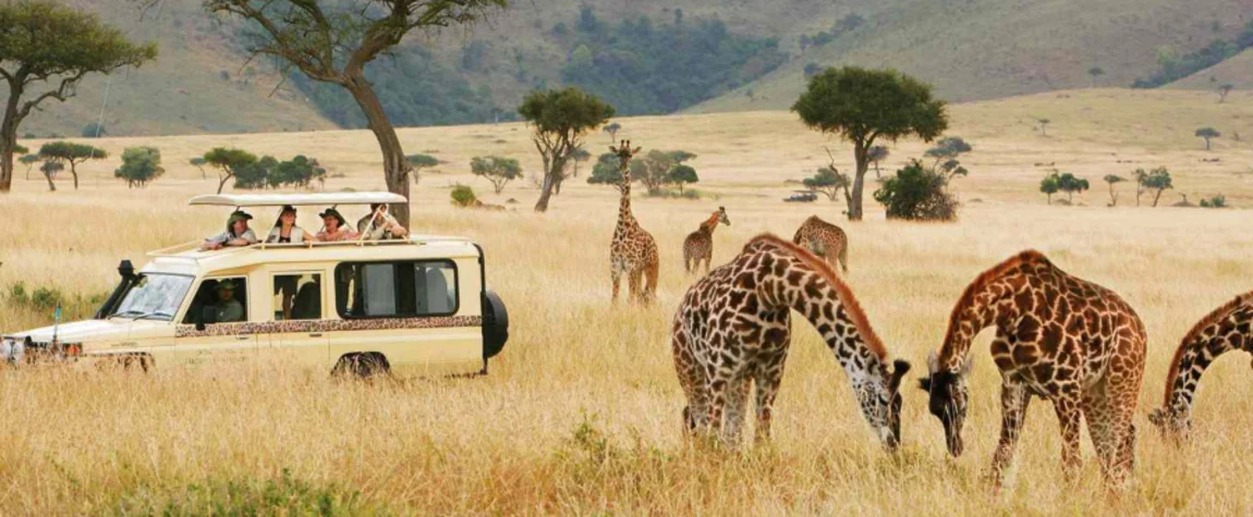 Safari Adventure in Nairobi, Kenya