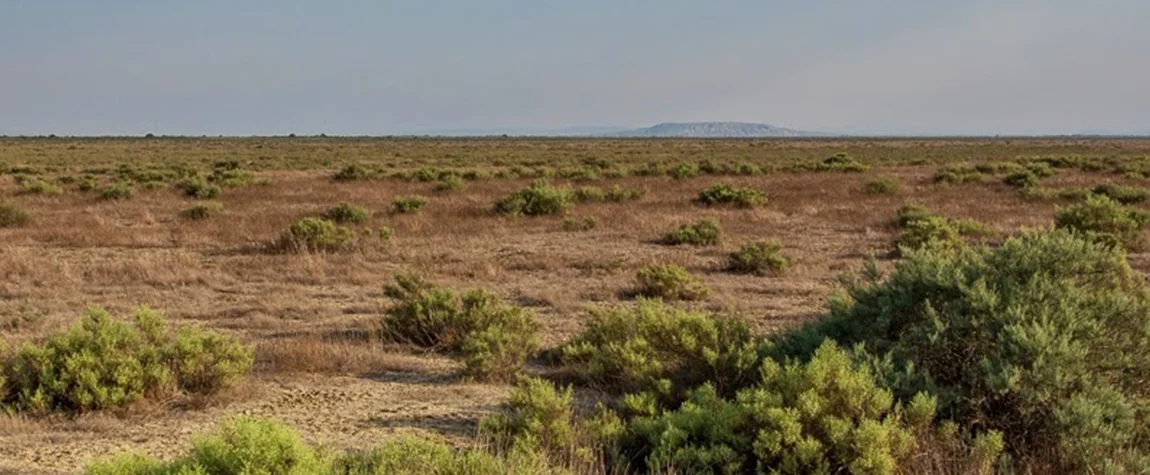 wildlife in Azerbaijan