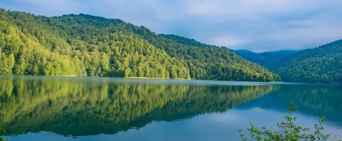 wildlife in Azerbaijan