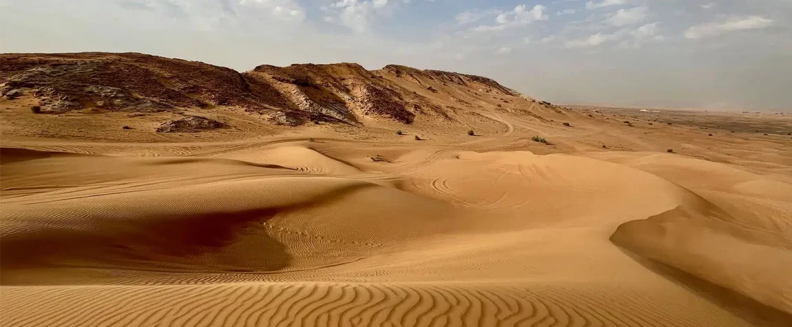 Know About Dubai Desert Safari