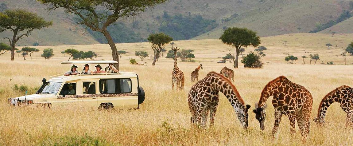 Things to Know Before Taking a Safari in Kenya