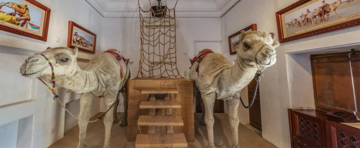 Camel Museum in Dubai