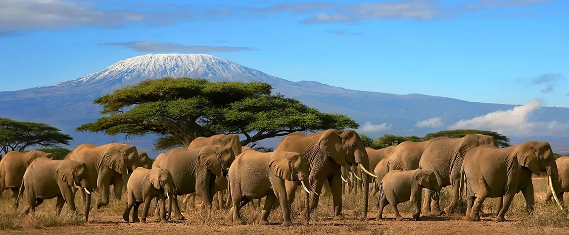 Amboseli National Park