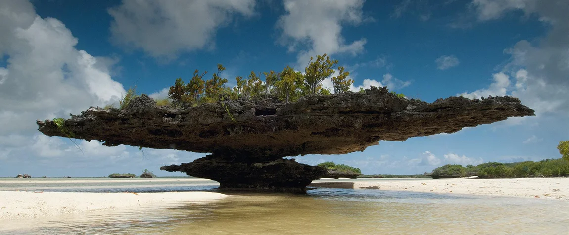 Aldabra Atoll