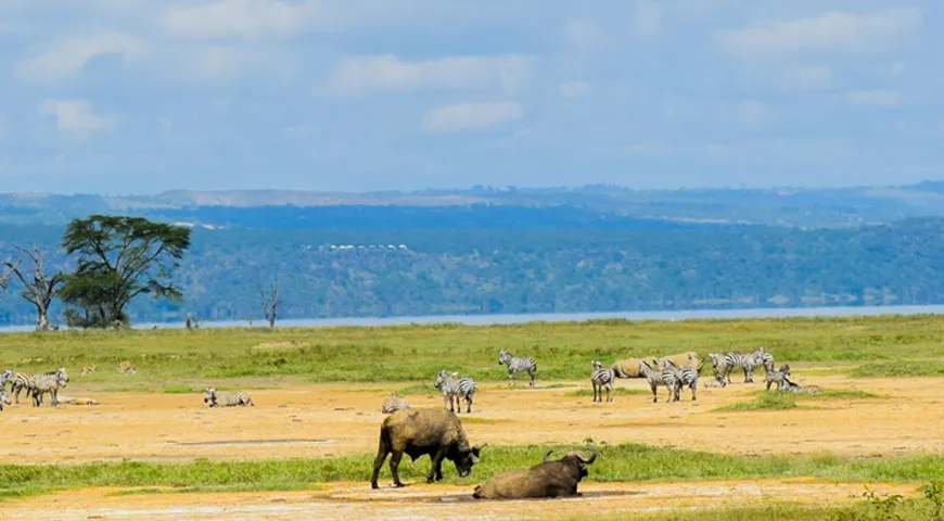 Kenya Summer holiday packages