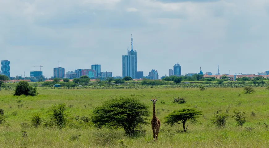 Kenya Summer holiday packages