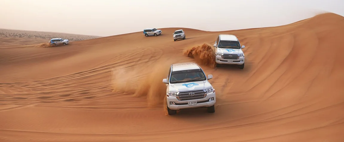 Desert Safari and Dune Bashing