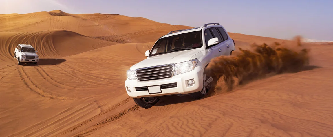 Desert Safari and Dune Bashing