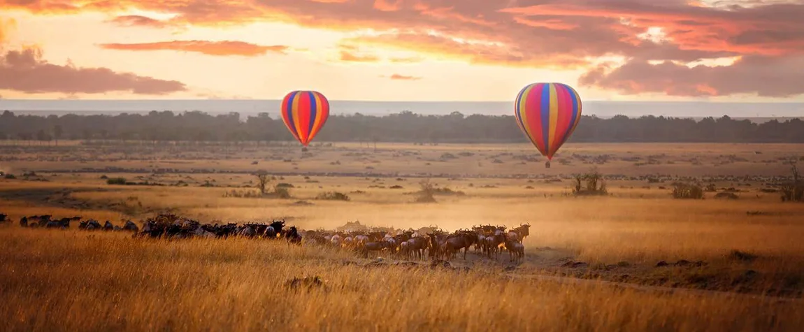 Hot Air Balloon Safari