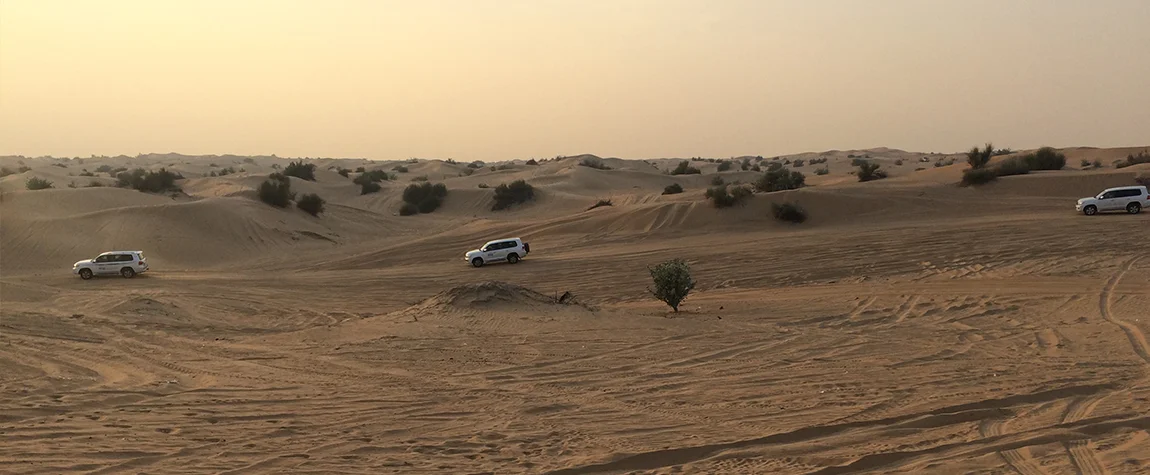  Desert Life Exhibit