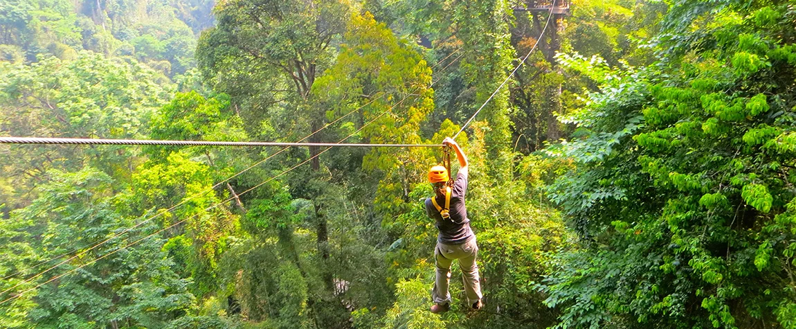 Rainforest Adventures