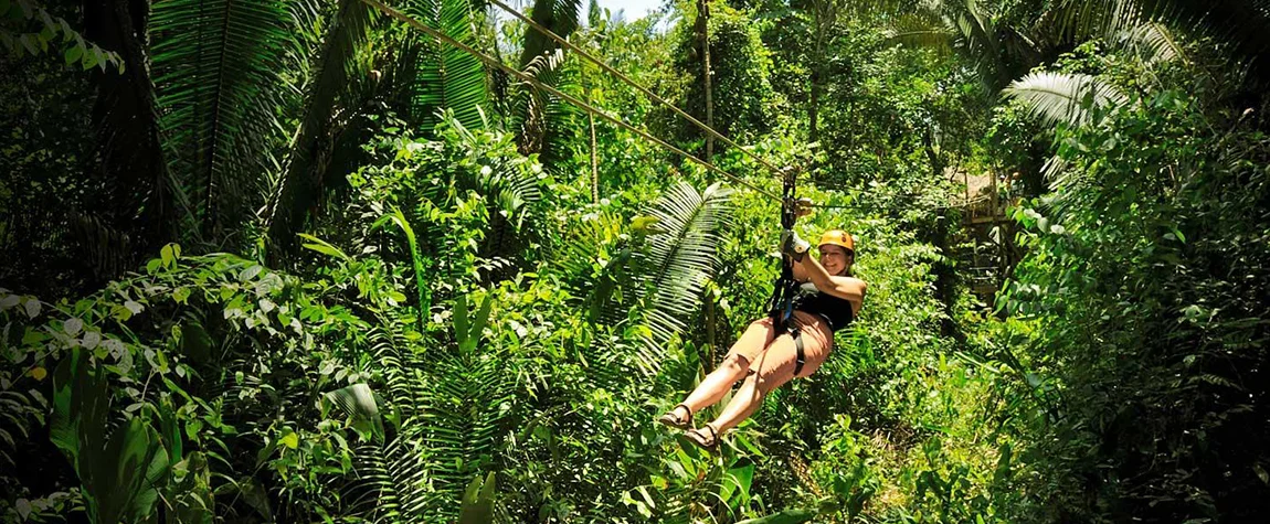 Ziplining through the Jungle Canopy