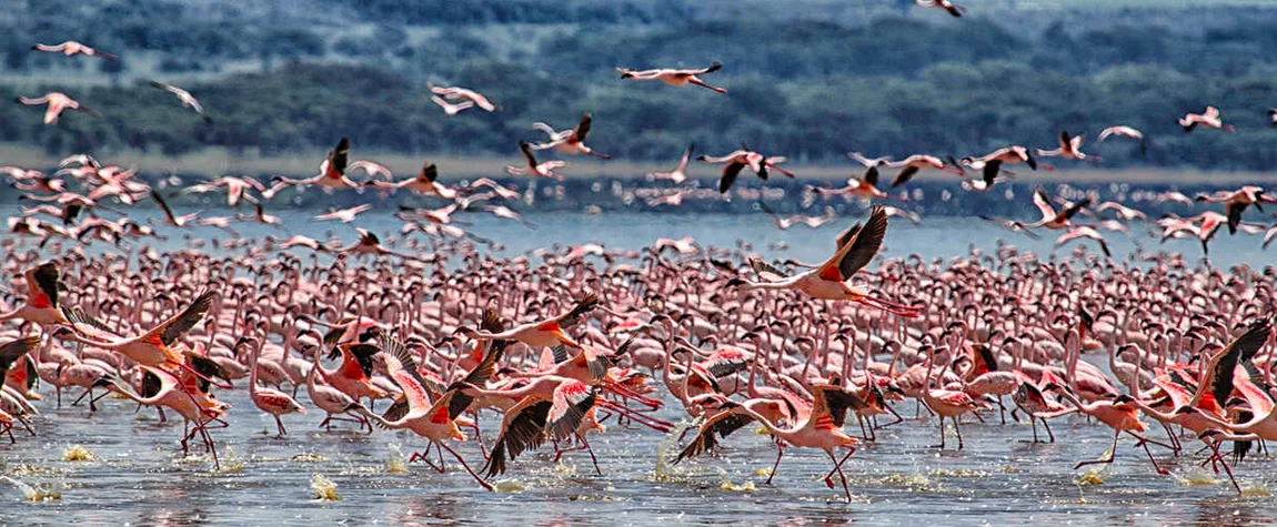 Rift Valley Lakes