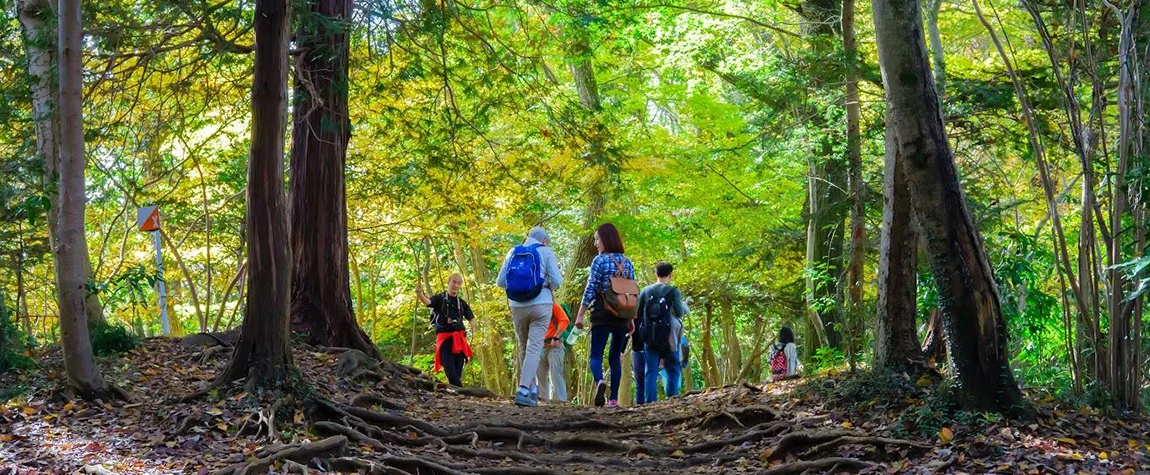 Hiking and Nature Walks