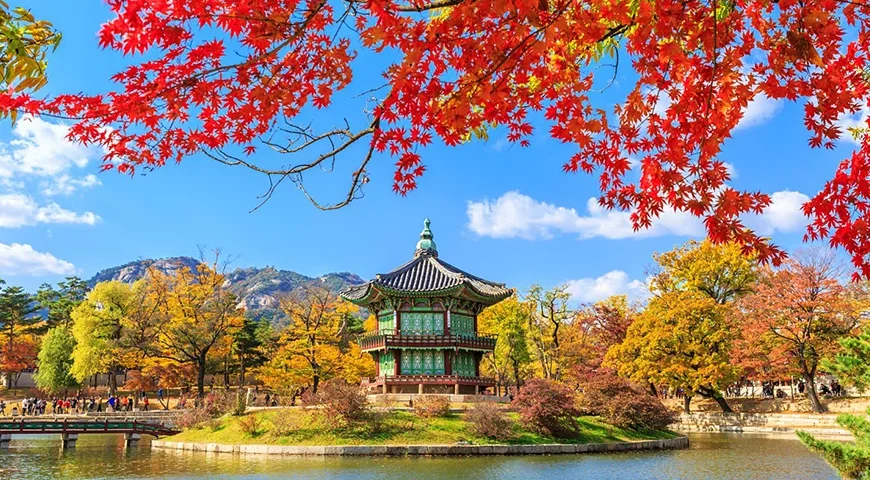 Seoul and Jeju Island Tour Packages from Dubai