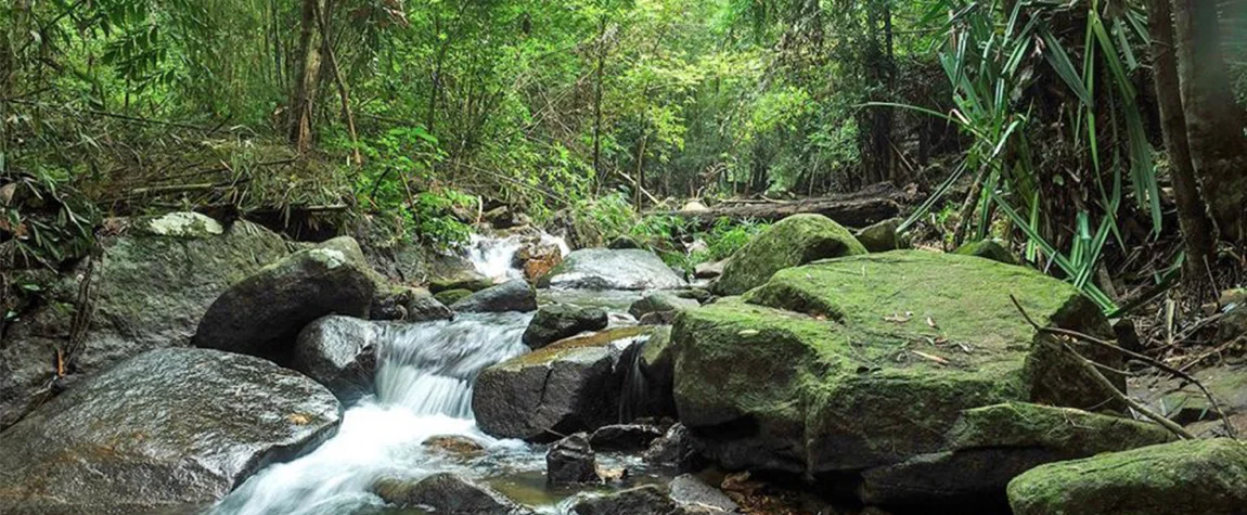 Khao Phra Thaeo National Park