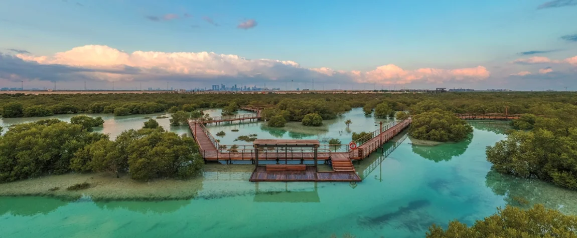 Mangrove National Park