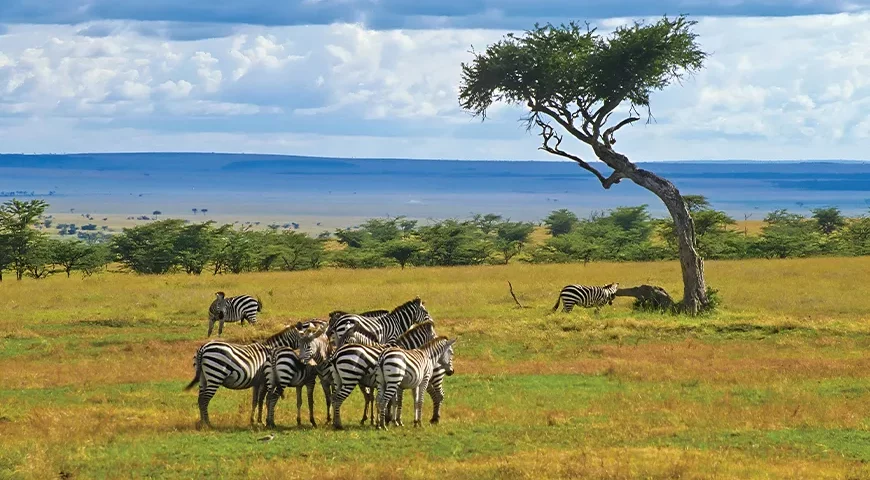 Kenya 04 Nights Tour Packages