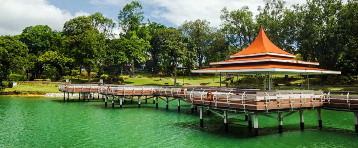 Macritchie Reservoir Park