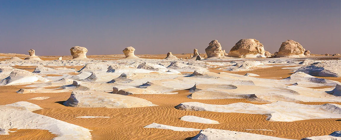 The White Desert