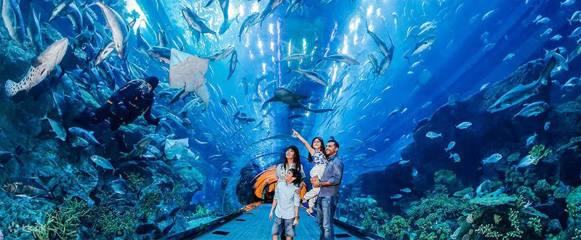 6. Dubai Aquarium & Underwater Zoo