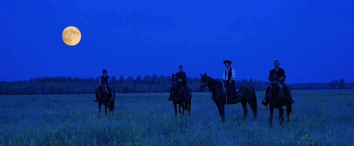 Horse Riding Under the Full Moon