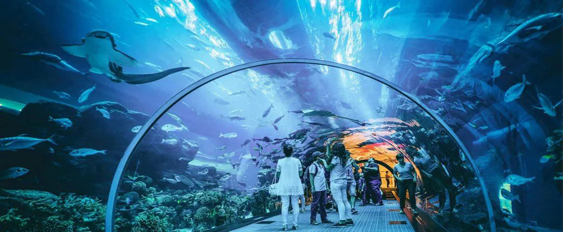  Explore Underwater Wonders at Sharjah Aquarium