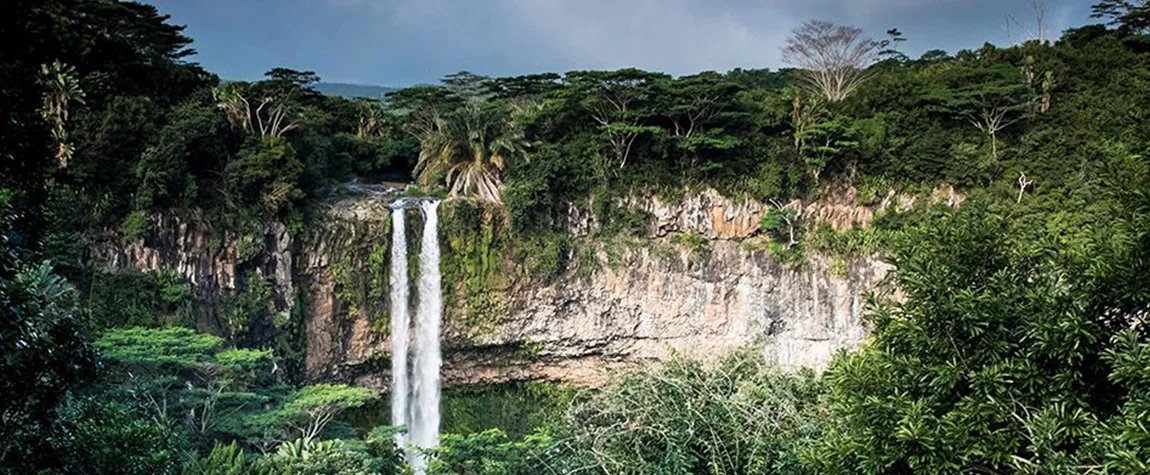 Places to Visit in Mauritius, Black River Gorges National Park