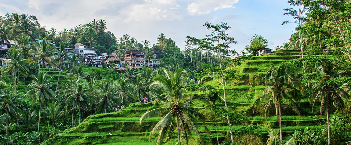 Things to Do in Bali