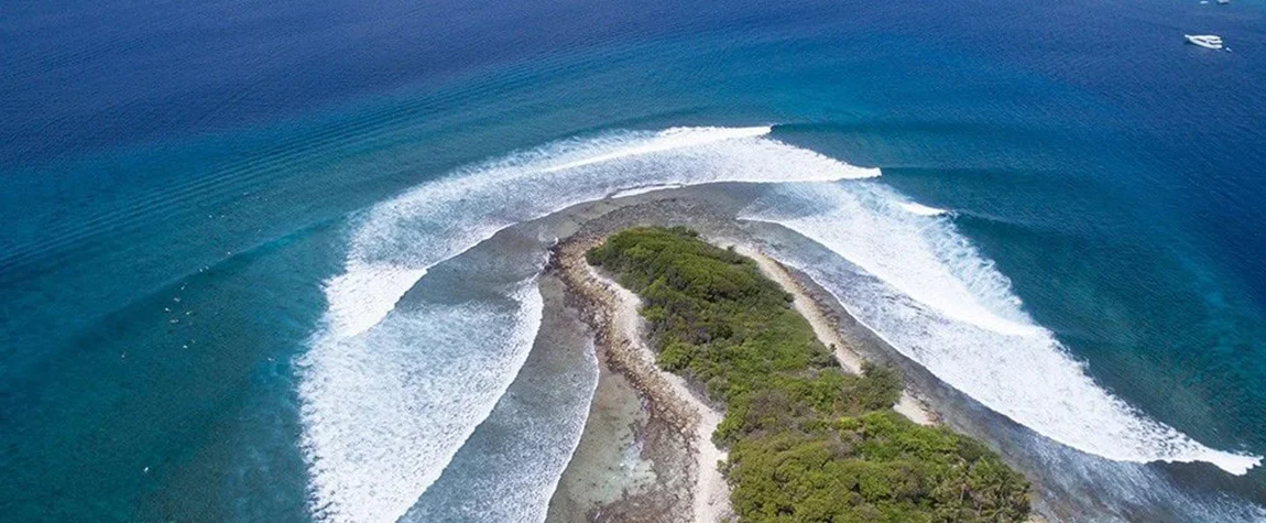 World-Class Surf School