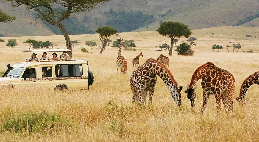 Kenya UAE National Day Tour Packages