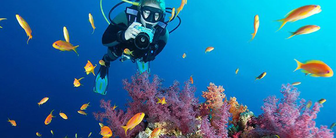 Relax and Dive in Sharm El Sheikh