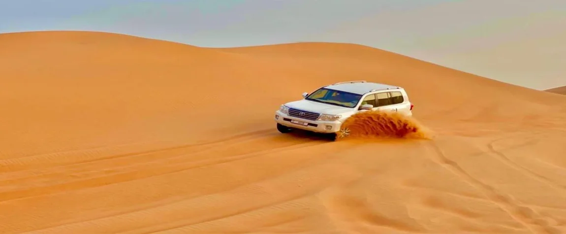 8. Go on a desert safari from the marina.