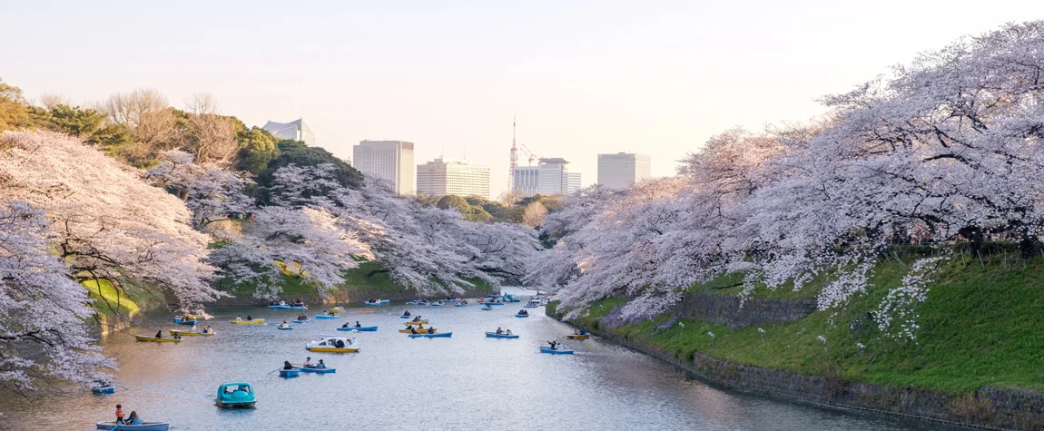 Must-See Places to Visit in Japan