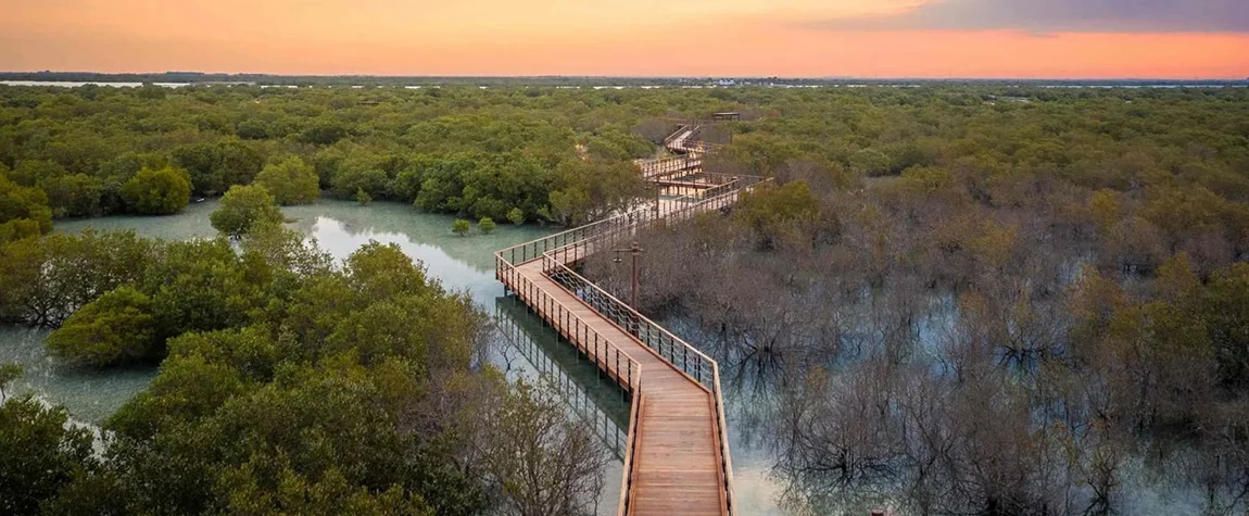 10. Jubail Mangrove Park