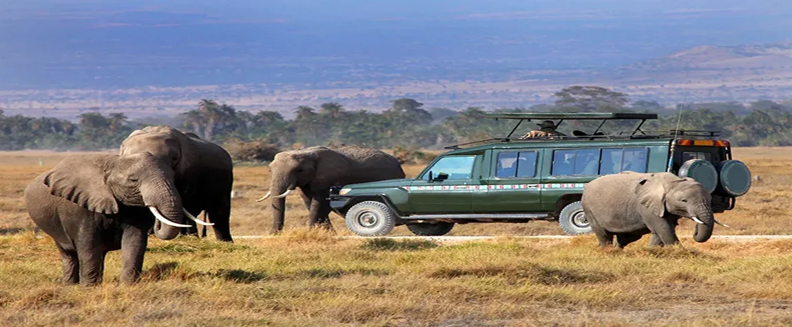 Kenya: A Safari Adventure