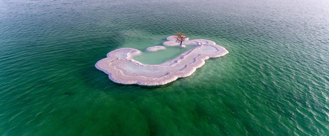 Float in the Dead Sea