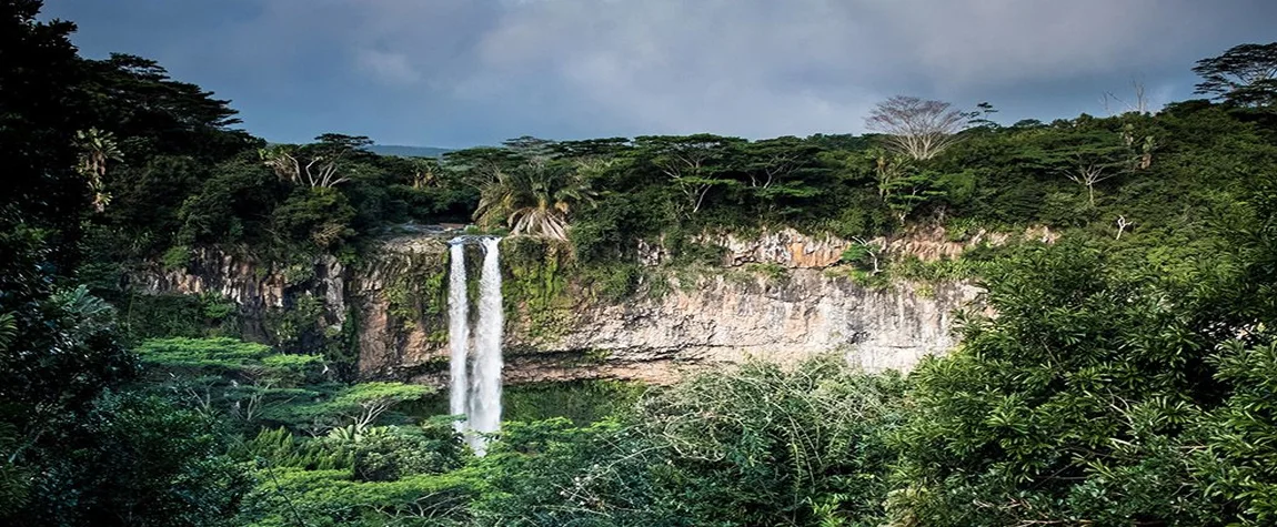 Nature walk in Black River Gorges National Park